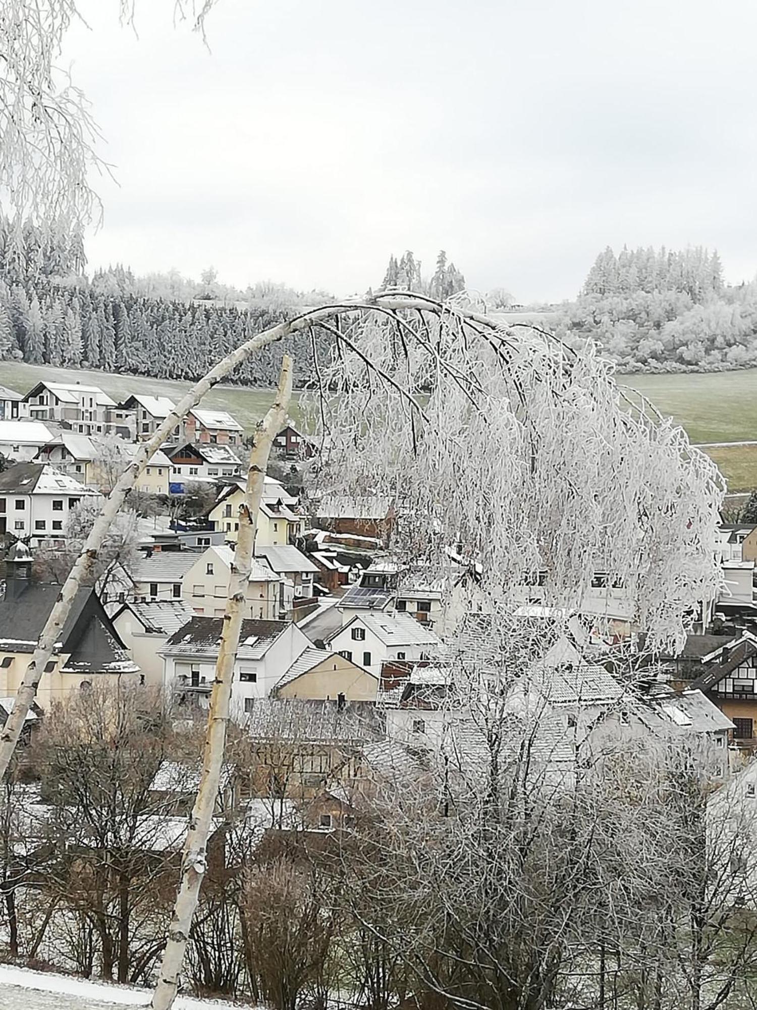 Am Lindenbaum, Ferienwohnung In Siebenbach Am Nuerburgring 外观 照片