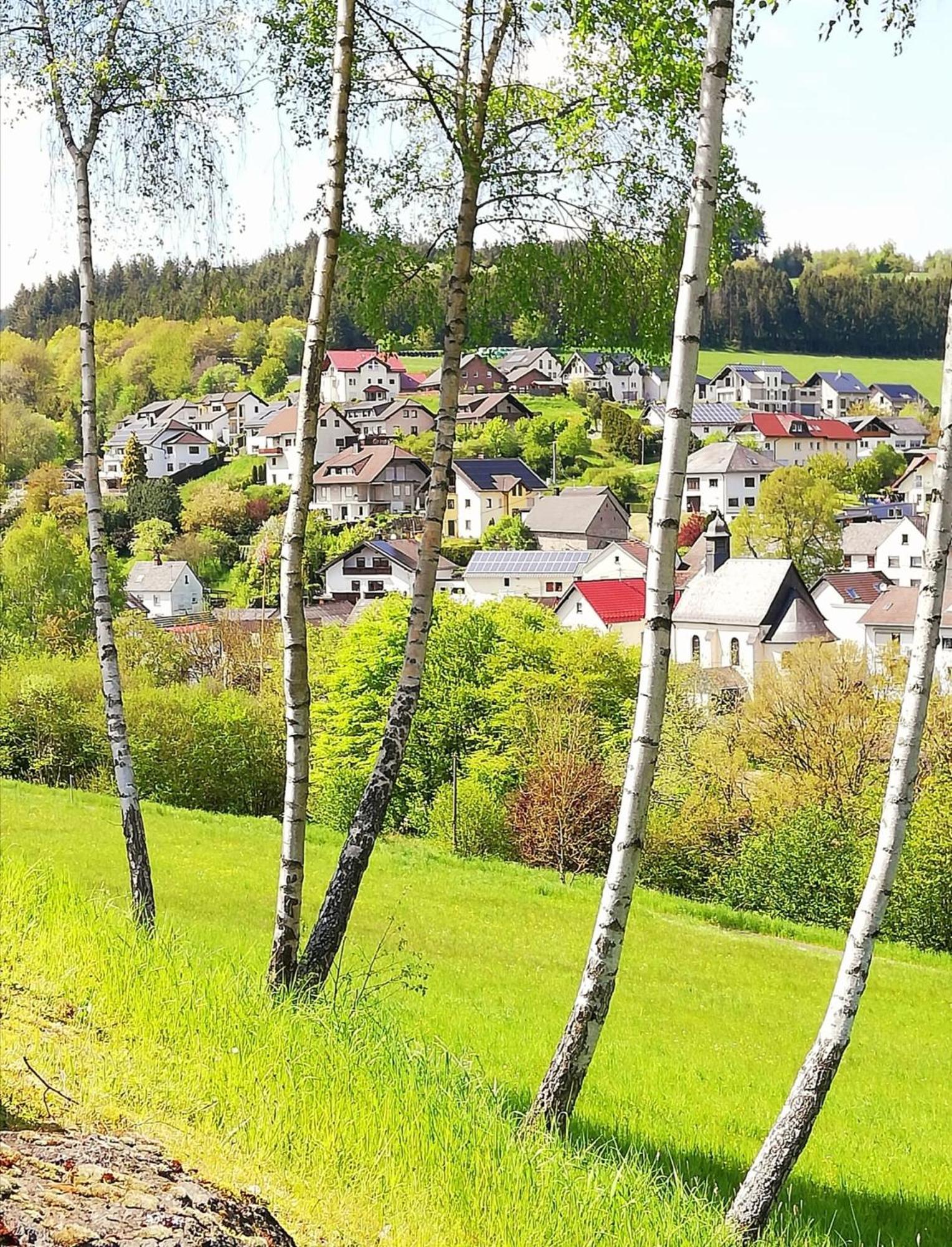 Am Lindenbaum, Ferienwohnung In Siebenbach Am Nuerburgring 外观 照片