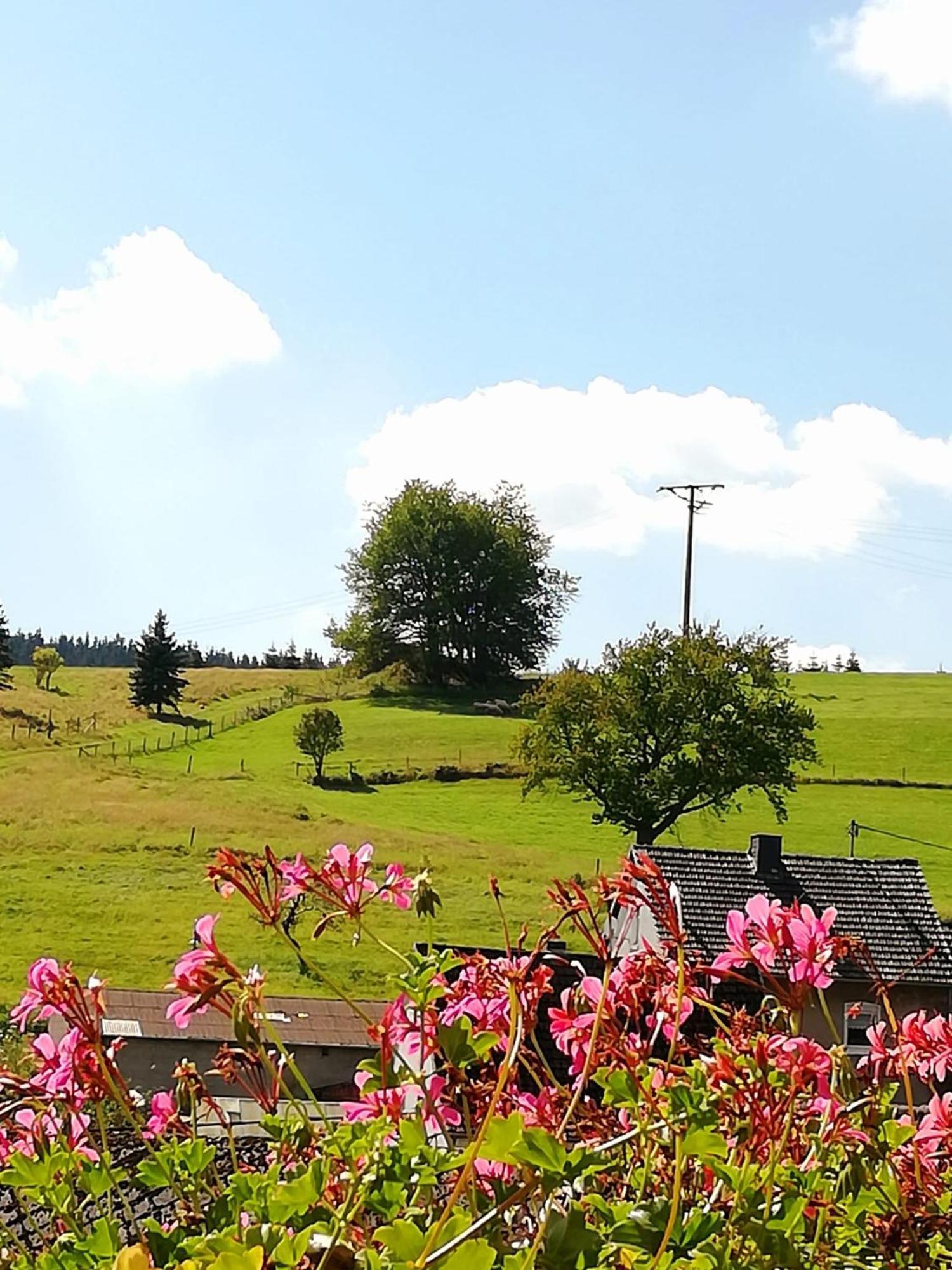 Am Lindenbaum, Ferienwohnung In Siebenbach Am Nuerburgring 外观 照片