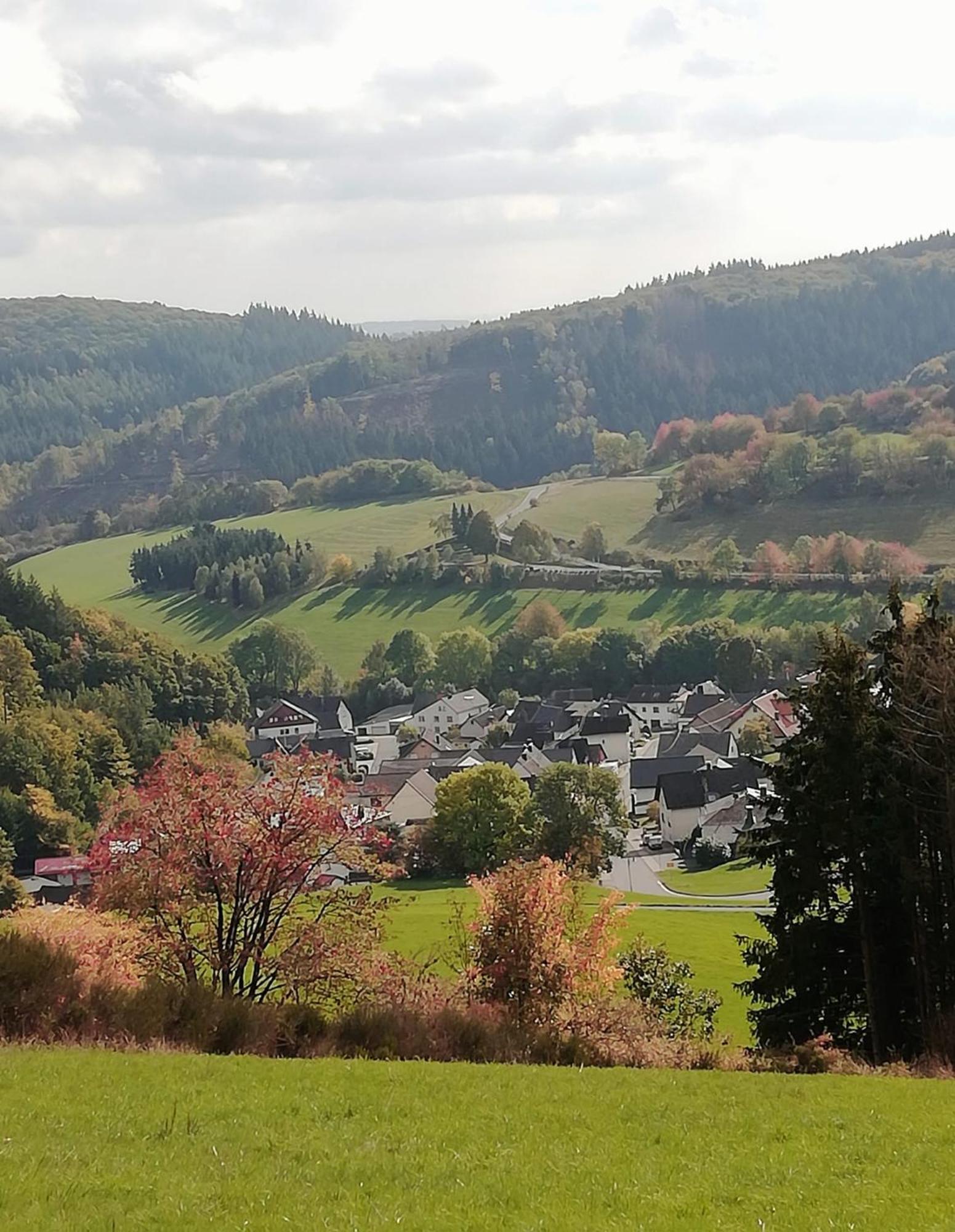 Am Lindenbaum, Ferienwohnung In Siebenbach Am Nuerburgring 外观 照片